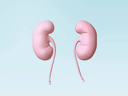 حکم اهدایی کلیه توسط شخص نابالغ