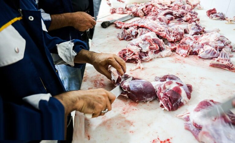 حکم نذری گوسفند برای حضرت ابوالفضل(ع)